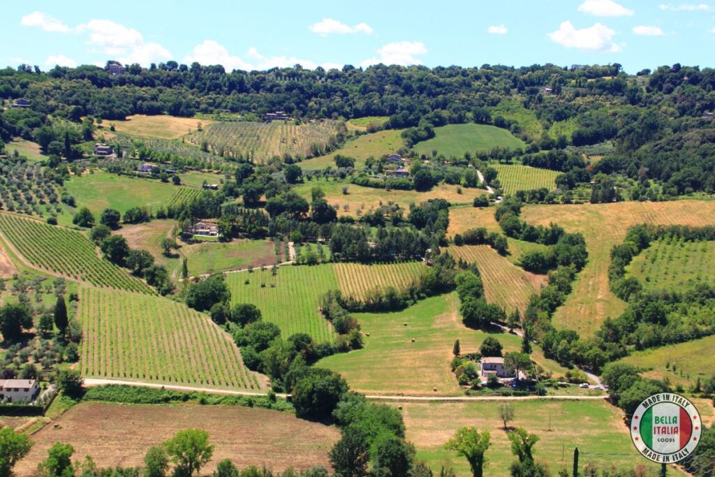 Wine Garden of Umbria